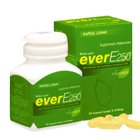 EVER E250
