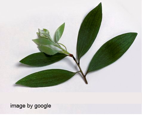 Objectively integrate emerging core