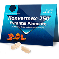 KONVERMEX 250 - KAPLET