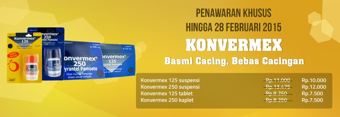 Everything You Need To Know About Economy